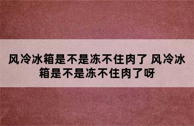 风冷冰箱是不是冻不住肉了 风冷冰箱是不是冻不住肉了呀